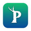 Palworld